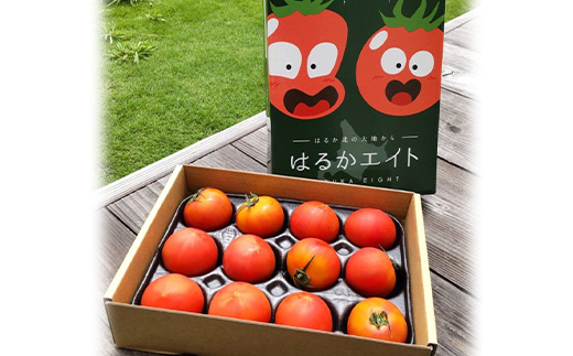 【先行予約】 令和7年産 10～15玉前後 糖度8.0度以上 北はるか産 フルーツトマト はるかエイト 2箱 F4G-0110