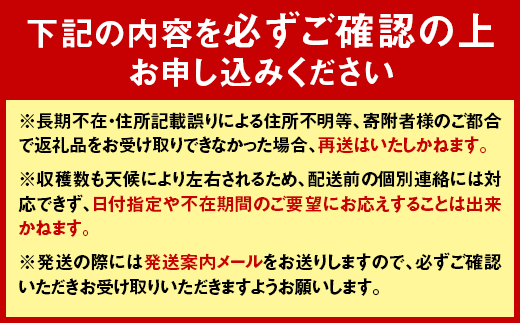 【先行予約】 令和7年産 10～15玉前後 糖度8.0度以上 北はるか産 フルーツトマト はるかエイト 2箱 F4G-0110