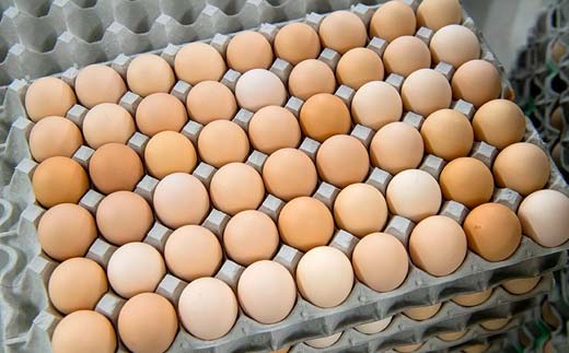 Mサイズ 約20個（18個＋割れ補償2個） 約半世紀卵づくり一筋 ！『下川六〇酵素卵』 下川ろくまる あべ養鶏場 割れ補償付き たまご 玉子 タマゴ ふるさと 納税 国産 北海道産 北海道 下川町  F4G-0288