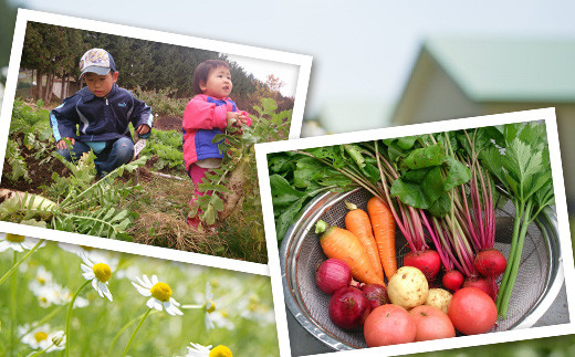 下川町 地域間交流施設 森のなかヨックル 宿泊補助券 10000円 北海道 コテージ F4G-0118