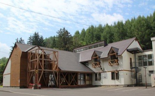 五味温泉宿泊券（1泊1名 朝夕食付） 天然炭酸泉温泉 北海道 下川町 F4G-0257