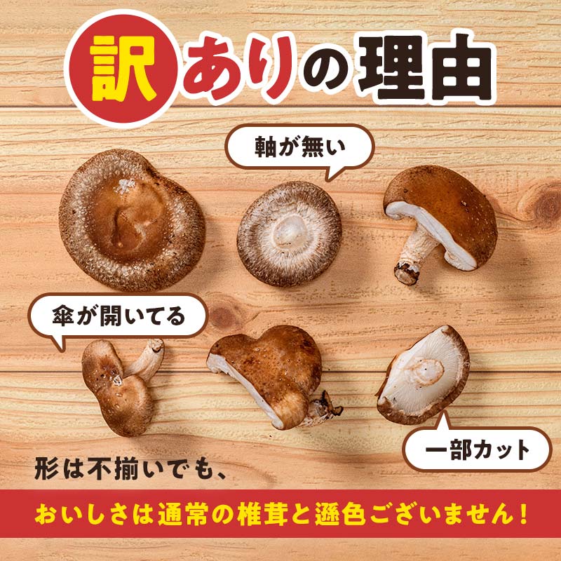【2026年3月発送】 生しいたけ【形が悪いなどの訳あり品】3.2kg（200g×16袋） F4G-0269
