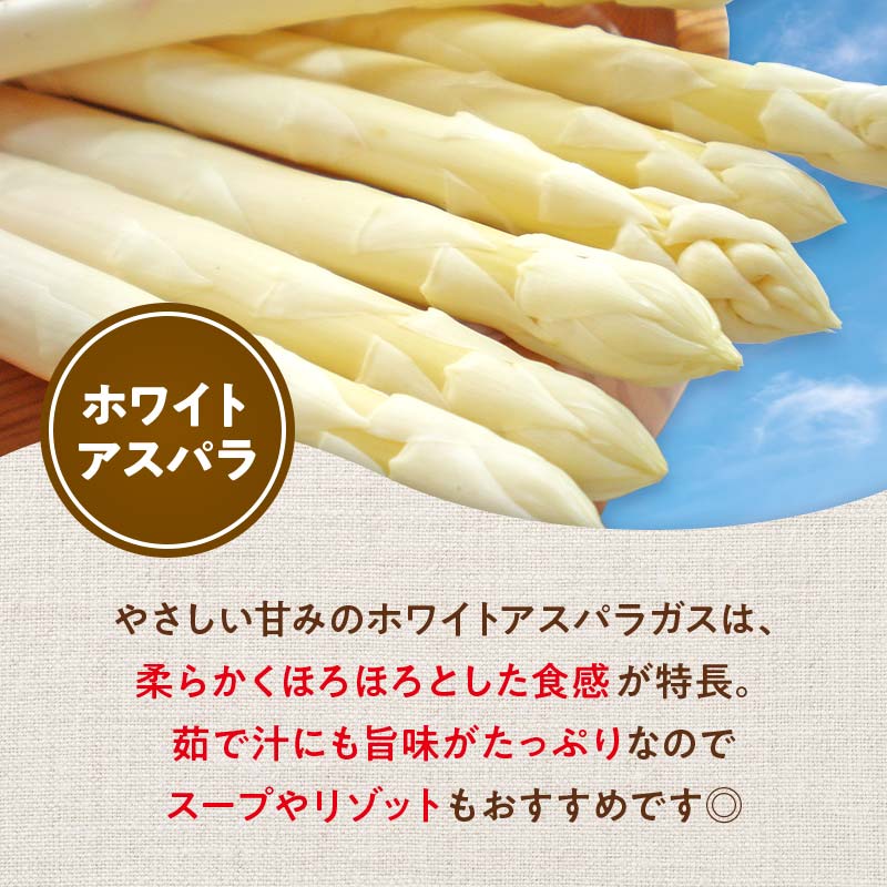 【先行予約】令和8年産 グリーン・ホワイトアスパラセット 1kg（グリーンアスパラ Lサイズ・ホワイトアスパラ 2Lサイズ）野菜 やさい ふるさと 納税 国産 北海道産 北海道 下川町 F4G-0287