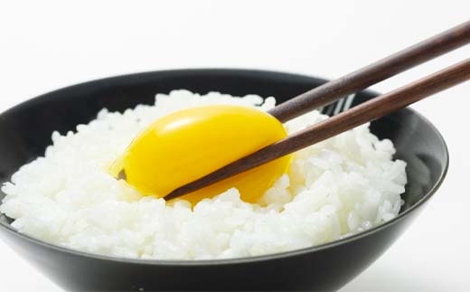 ＜定期便＞【Lサイズ 40個×12ヶ月コース】40個（36個＋割れ補償4個） 安心・安全な『下川六〇酵素卵』を毎日の食卓に！ 下川ろくまる あべ養鶏場 割れ補償付き ブランド卵 たまご 玉子 タマゴ ふるさと 納税 国産 北海道産 北海道 下川町  F4G-0297