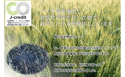 下川手延素麺 珊瑠の糸 360g 北海道下川町産小麦はるゆたか100%使用 バイオ炭の農地施用 日本最北の手延べ素麺 はるお製麺 F4G-0201