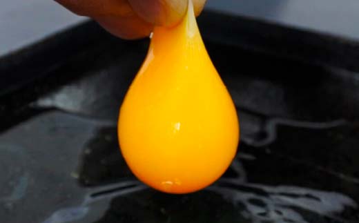 ＜定期便＞【Lサイズ 40個×12ヶ月コース】40個（36個＋割れ補償4個） 安心・安全な『下川六〇酵素卵』を毎日の食卓に！ 下川ろくまる あべ養鶏場 割れ補償付き ブランド卵 たまご 玉子 タマゴ ふるさと 納税 国産 北海道産 北海道 下川町  F4G-0297