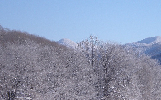 【返礼品なし】森と人を未来へつなぐ、下川町の挑戦（5000円分） 森 森林 環境保全 下川町 F4G-0331