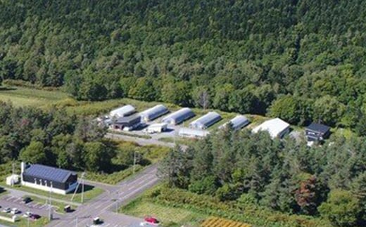 簡易包装 生しいたけ【Lサイズ・傘の開きが小さい】2kg 軸太 肉厚 椎茸 シイタケ 野菜 やさい 故郷 ふるさと 納税 北海道 下川町 直径約6cm F4G-0024