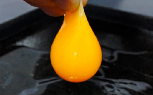 Mサイズ 10kg 約180個（160個＋割れ補償20個） 約半世紀卵づくり一筋 ！『下川六〇酵素卵』 下川ろくまる あべ養鶏場 割れ補償付き たまご 玉子 タマゴ ふるさと 納税 国産 北海道産 北海道 下川町 F4G-0303