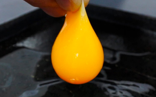 Mサイズ 5kg 約90個（80個＋割れ補償10個） 約半世紀卵づくり一筋 ！『下川六〇酵素卵』 下川ろくまる あべ養鶏場 割れ補償付き たまご 玉子 タマゴ ふるさと 納税 国産 北海道産 北海道 下川町 F4G-0302