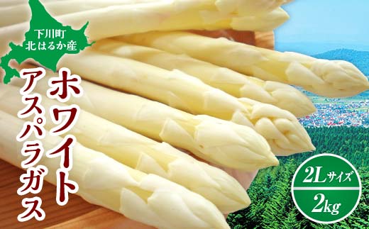 【先行予約】令和8年産 ホワイトアスパラガス（2Lサイズ） 2kg アスパラ 野菜 やさい ふるさと 納税 国産 北海道産 北海道 下川町 F4G-0283