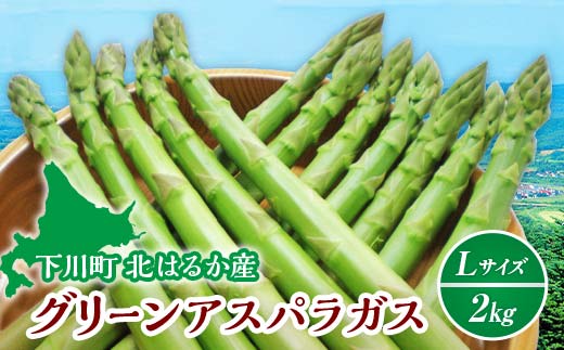 【先行予約】令和8年産グリーンアスパラガス 2kg Ｌサイズ（令和8年5月中旬～6月中旬頃発送） アスパラ 野菜 やさい ふるさと 納税 国産 北海道産 北海道 下川町 F4G-0284