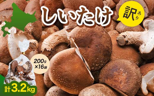 【2026年5月発送】 生しいたけ【形が悪いなどの訳あり品】3.2kg（200g×16袋） F4G-0271