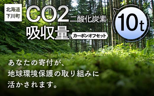 CO2（二酸化炭素）吸収量 10t カーボンオフセット 故郷 ふるさと 納税 北海道 下川町 F4G-0315