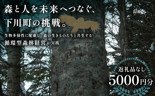 【返礼品なし】森と人を未来へつなぐ、下川町の挑戦（5000円分） 森 森林 環境保全 下川町 F4G-0331