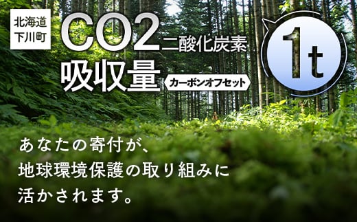 CO2(二酸化炭素)吸収量 1t カーボンオフセット 故郷 ふるさと
