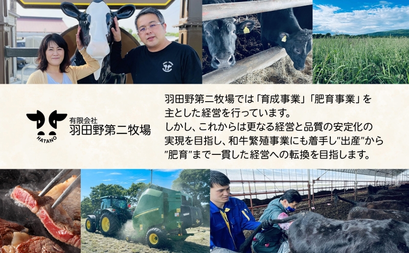 黒牛 カルビ 焼肉 500ｇ こだわりの美深黒牛 お肉 牛肉 旨み グルメ バーベキュー ギフト 贈り物 美深町 北海道