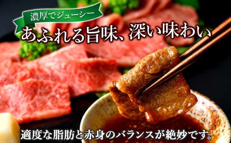 定期便 3カ月 黒牛 カルビ 焼肉 500ｇ×3 こだわりの美深黒牛 お肉 牛肉 旨み グルメ バーベキュー ギフト 贈り物 美深町 北海道