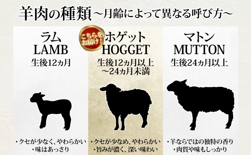 松山農場の羊のホゲット肉 ステーキ700g （350g×2） 冷凍 真空パック 羊肉 ラム マトン ロース モモ 希少 ジューシー BBQ 鉄板焼き 国産 お取り寄せ グルメ ヘルシー ギフト 北海道 美深町