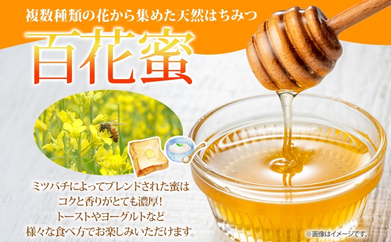 【 ふるさと納税 】北海道美深産 天然はちみつ 百花蜜・そば蜜セット 計1.2kg 600g×各1瓶 百花蜜 そば蜜 ソバ蜜 蕎麦蜜 クローバー アザミ シナ そばの花 はちみつ 蜂蜜 ハチミツ 蜜蜂 みつばち ミツバチ 純粋国産 お取り寄せ 送料無料 北海道 美深町