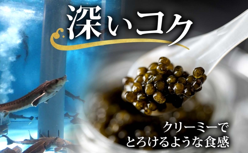 北海道産 美深キャビア10g 純国産 北海道 美深町 国産キャビア チョウザメ 魚貝類 魚卵 加工食品 珍味 冷凍配送 ギフト おつまみ おもてなし オードブル パーティー お祝い クリーミー 贈答用 産地直送 株式会社美深振興公社