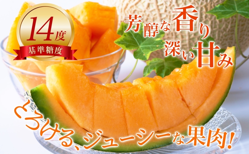 【2025年発送】びふかメロン1～2玉(合計3kg以上) 北海道 美深町産 赤肉 メロン 産直 高級 果肉 果汁 デザート フルーツ 果物 くだもの 贈り物 メロン赤肉 お届け： 2025年7月上旬～2025年8月下旬