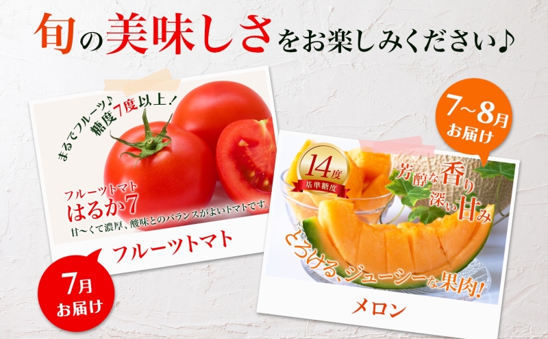 【2025年発送】美深の旬の夏野菜3種（フルーツトマト・メロン・とうもろこし） 北海道 美深町【 野菜 夏野菜 フルーツ トマト とうきび メロン 定期便 旬 】