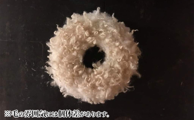 クリスマス 羊毛リース（直径約30cm）【北海道美深】 季節商品 クリスマス用品 クリスマスリース イベントグッズ