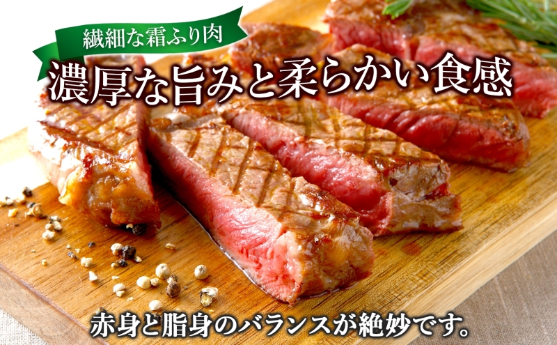 黒牛 リブロース ステーキ 180g×6 こだわりの美深黒牛 お肉 牛肉 霜降り 旨み 肉汁 こだわり グルメ お取り寄せ ギフト 贈り物 肉のはたの 美深町 北海道