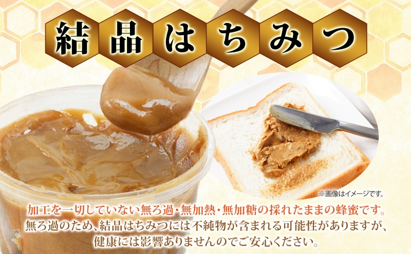 【 ふるさと納税 】北海道美深産 天然はちみつ 結晶そばはちみつ 500g 蕎麦 蕎麦はちみつ ソバはちみつ 生 結晶はちみつ 国産 生はちみつ 無濾過 無加熱 無加糖 ポリフェノール 鉄分 お取り寄せ 送料無料 北海道産