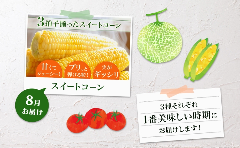 【2025年発送】美深の旬の夏野菜3種（フルーツトマト・メロン・とうもろこし） 北海道 美深町【 野菜 夏野菜 フルーツ トマト とうきび メロン 定期便 旬 】