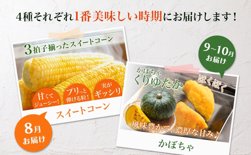 年4回定期便 2026年発送 美深の旬の野菜セット ホワイトアスパラ グリーンアスパラ カボチャ かぼちゃ くりゆたか スイートコーン とうもろこし 秀品 産地直送 野菜 旬 食材 フレッシュ お取り寄せ 北海道 美深町