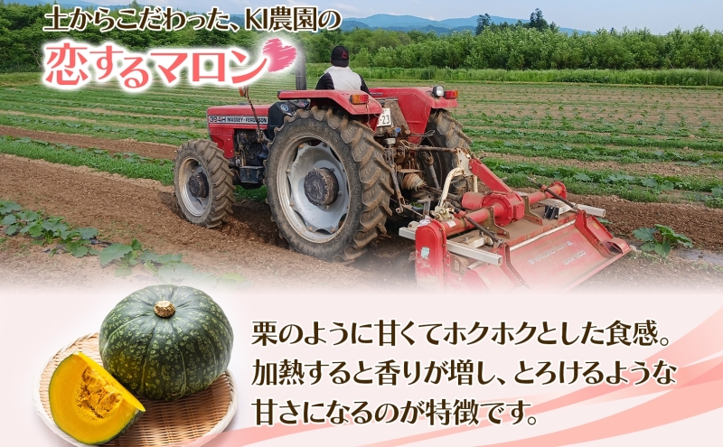冷凍 カットかぼちゃ とろける甘さの 「恋するマロン」 4kg 500g×8袋 カボチャ 南瓜 小分け 便利 国産 野菜 一人暮らし お弁当 備蓄 カット済み スイーツ シチュー スープ パイ コロッケ 産地直送 北海道 美深町