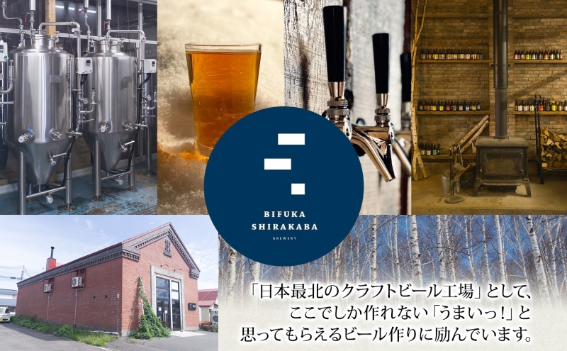 美深のクラフトビール WHITE LINES 3本 ビール ホワイトラインズ IPA フルーティー 白樺樹液 アルコール 飲料 瓶ビール 麦芽 ホップ のど越し 苦味 地ビール お酒 酒 国産 北海道産 ギフト 贈答品 プレゼント 送料無料 北海道 美深町