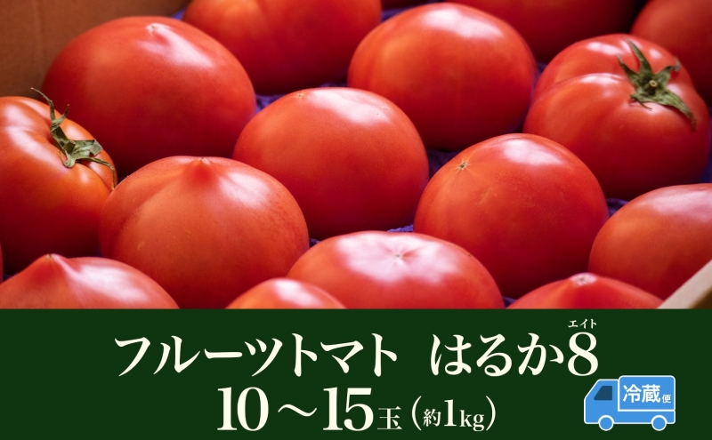 【2026年発送】 糖度8度以上 フルーツトマト はるか8（エイト） 10～15玉 トマト 野菜 夏 野菜 旬 甘い 濃厚 果物 フルーツ 高糖度 新鮮 産地直送 北海道 美深町