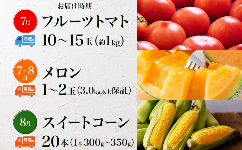 【2025年発送】美深の旬の夏野菜3種（フルーツトマト・メロン・とうもろこし） 北海道 美深町【 野菜 夏野菜 フルーツ トマト とうきび メロン 定期便 旬 】