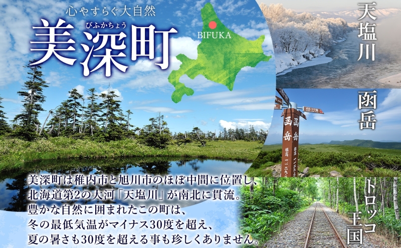 【 ふるさと納税 】北海道美深産 天然はちみつ百花蜜 600g 瓶 はちみつ 蜂蜜 百花蜜 ブレンド蜂蜜 みつばち ミツバチ 蜜蜂 純粋国産 国産 日本産 瓶タイプ アレンジ クローバー アザミ シナ お取り寄せ 送料無料 北海道 美深町