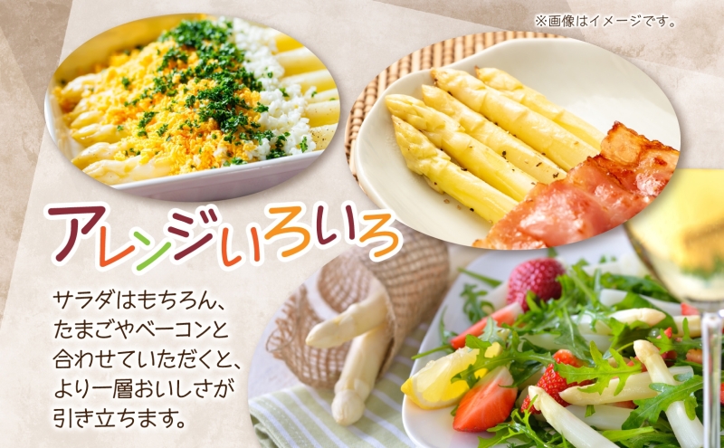 2026年発送  ホワイトアスパラ 2kg(2L～3L ）【秀品】 白旬 新鮮 野菜 朝採れ アスパラ アスパラガス ギフト 産地直送 お取り寄せ フレッシュ 甘い 春 春野菜 旬の味覚  季節 送料無料 北海道産 美深町