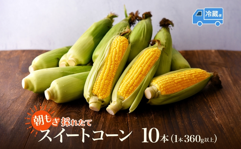 とうもろこし 10本 スイートコーン トウモロコシ コーン 甘い 採れたて 朝採り 野菜 旬の野菜 農作物 お取り寄せ 北海道産 産地直送 北海道 美深町 お届け：2026年8月3日～2026年8月28日