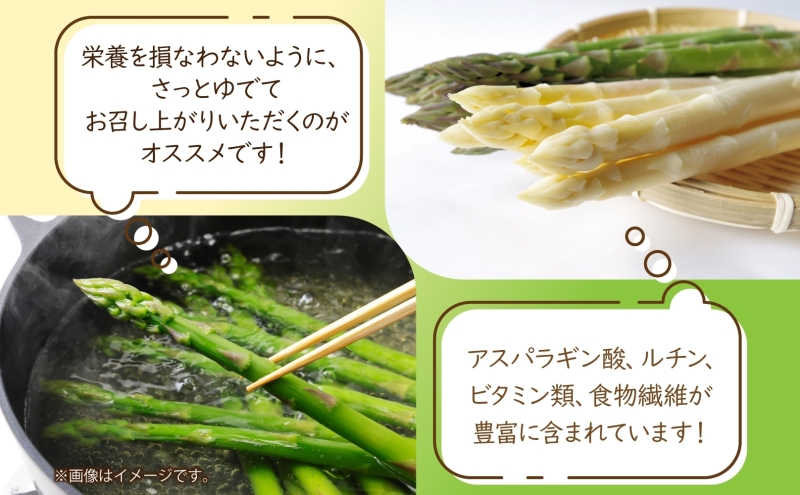 秀品 アスパラセット 計2kg ホワイトアスパラ 2L 3L グリーンアスパラ L 各1kg アスパラ アスパラガス 野菜 新鮮 旬の野菜 朝採れ フレッシュ 野菜 お取り寄せ グルメ 甘い 春 春野菜 旬の味覚 季節 贈り物 送料無料 北海道産 美深町