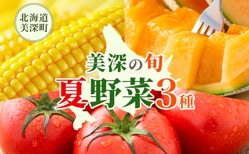 【2025年発送】美深の旬の夏野菜3種（フルーツトマト・メロン・とうもろこし） 北海道 美深町【 野菜 夏野菜 フルーツ トマト とうきび メロン 定期便 旬 】
