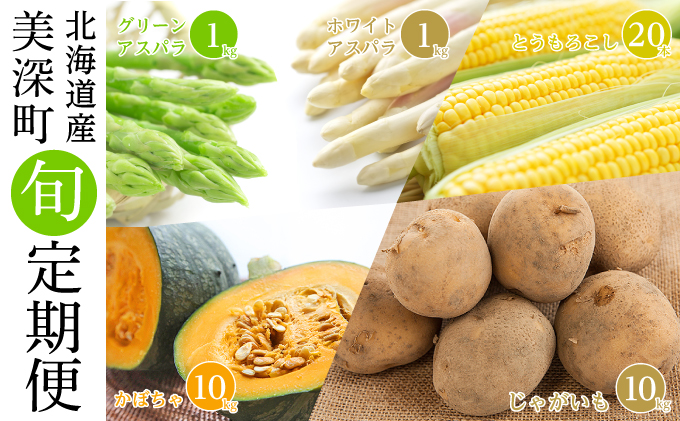 美深の旬の野菜 5種定期便（ホワイトアスパラ・グリーンアスパラ・とうもろこし・じゃがいも・かぼちゃ）【北海道美深町産】