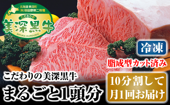 北海道 こだわりの美深黒牛1頭分（冷凍）10分割して月1回お届け