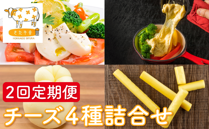 北海道美深町 チーズ4種詰め合わせ 2回定期便 【北ぎゅう舎】