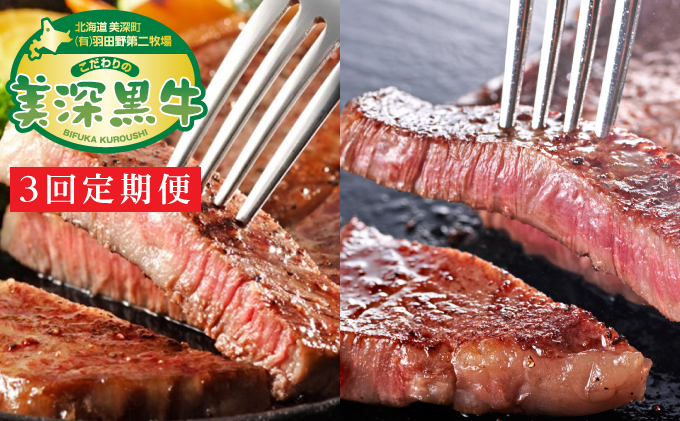 北海道産 黒牛ステーキセット定期便（リブロース180g×2・サーロイン180g×2）【こだわりの美深黒牛】