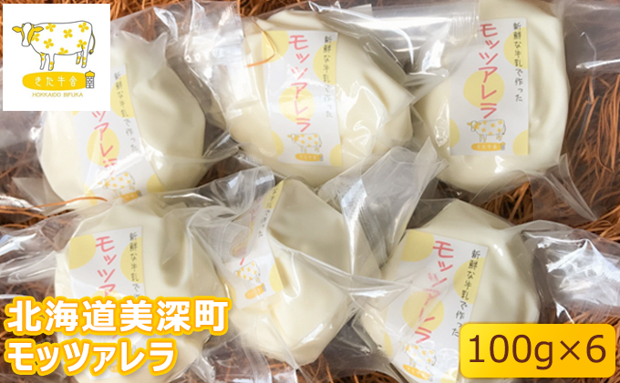 北海道美深町 モッツァレラ100g×6【北ぎゅう舎】