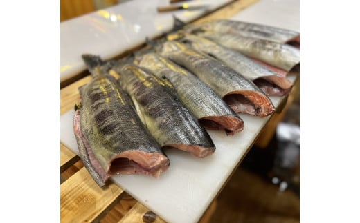 ペット用 シャケジャーキー 〜 森魚 モリオ 〜