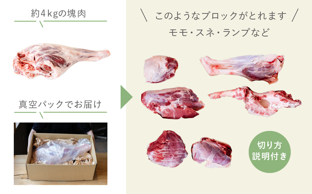 【ふるさと納税】【北海道中川町】<横山牧場 やまのよこのひつじ>6分割【後ろ部位】放牧育ち ホゲット肉 国産 希少 羊肉 塊肉 骨付き モモ スネ ランプ お肉 肉 焼肉 プレミアム