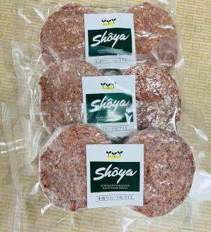 憎々しいほど肉肉しい！自家製ハンバーグセット