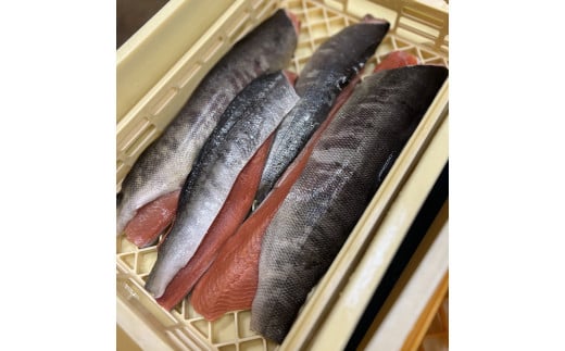 ペット用 シャケジャーキー 〜 森魚 モリオ 〜